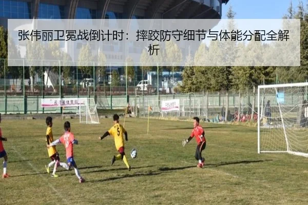 张伟丽卫冕战倒计时：摔跤防守细节与体能分配全解析